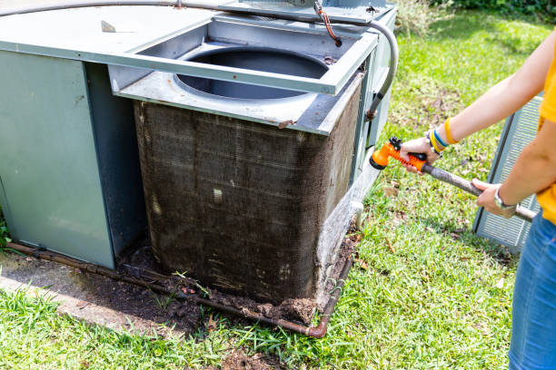 Best Air Duct Inspection  in Lakefield, MN
