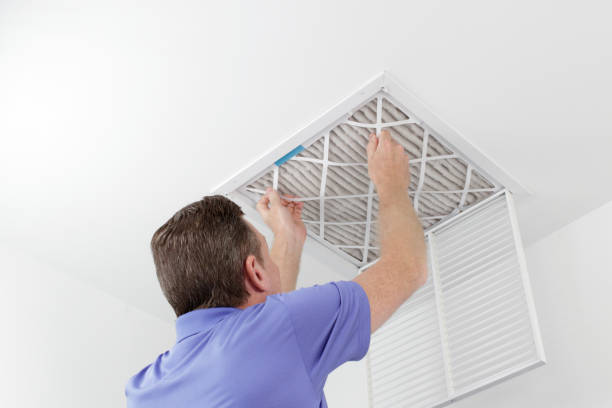 Best Air Vent Cleaning Services  in Lakefield, MN